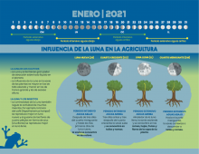 Calendario2021_RainforestAlliance_enero